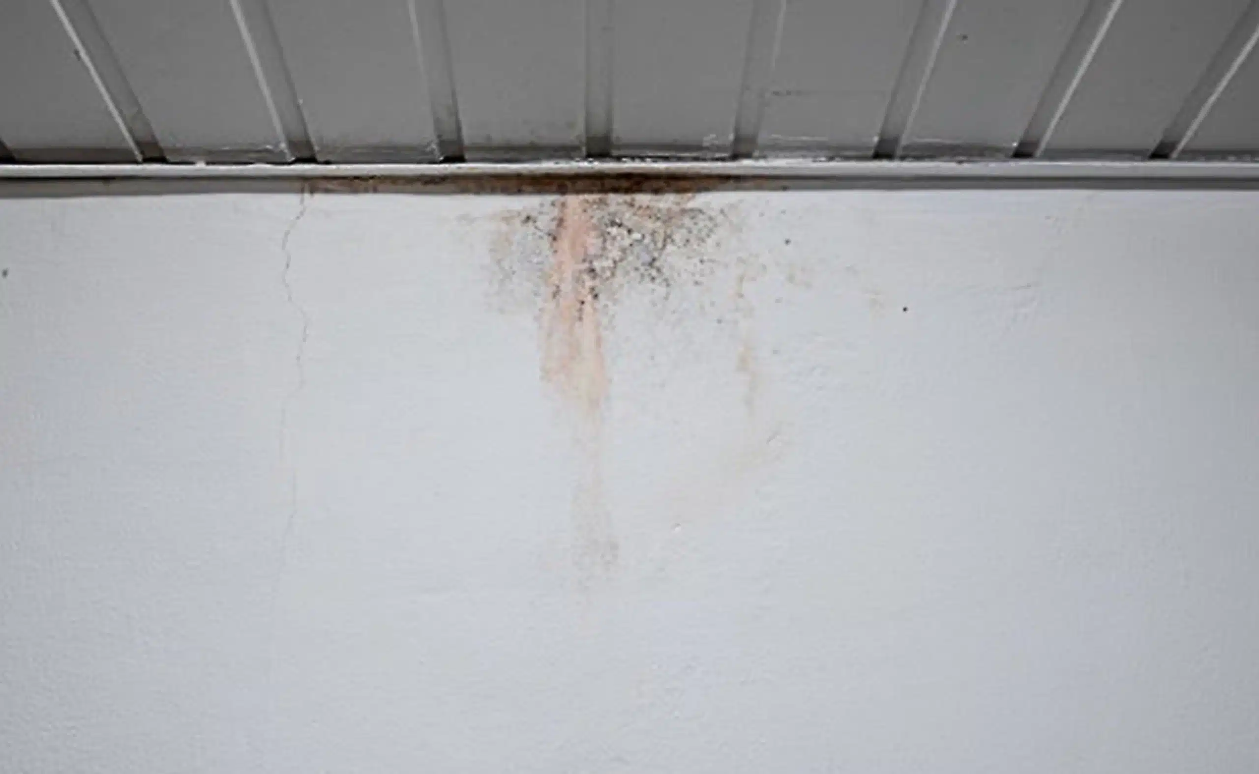 Basement mold before remediation — mold growth at ceiling junction