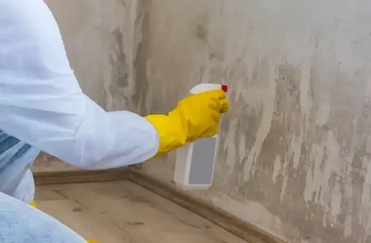 Mold remediation technician in protective suit treating wall during professional cleanup